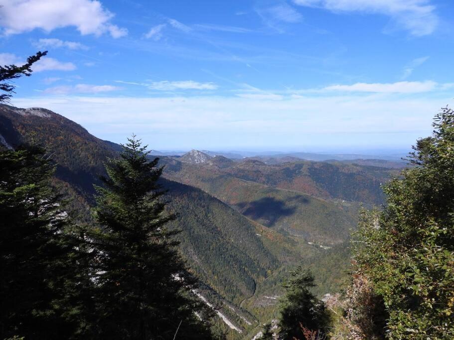 Gite L'Enclos O Rendez-Vous Roquefeuil-Pays De Sault- Avec Jardin Εξωτερικό φωτογραφία