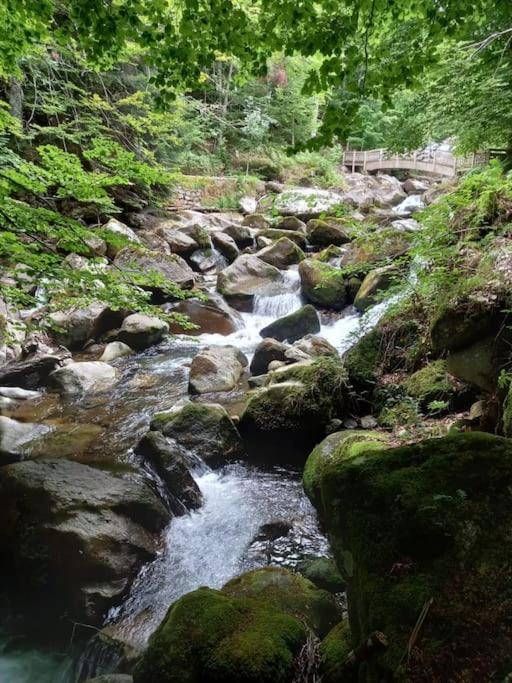 Gite L'Enclos O Rendez-Vous Roquefeuil-Pays De Sault- Avec Jardin Εξωτερικό φωτογραφία