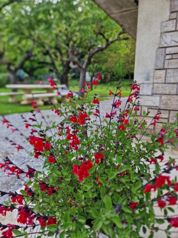 Gite L'Enclos O Rendez-Vous Roquefeuil-Pays De Sault- Avec Jardin Εξωτερικό φωτογραφία
